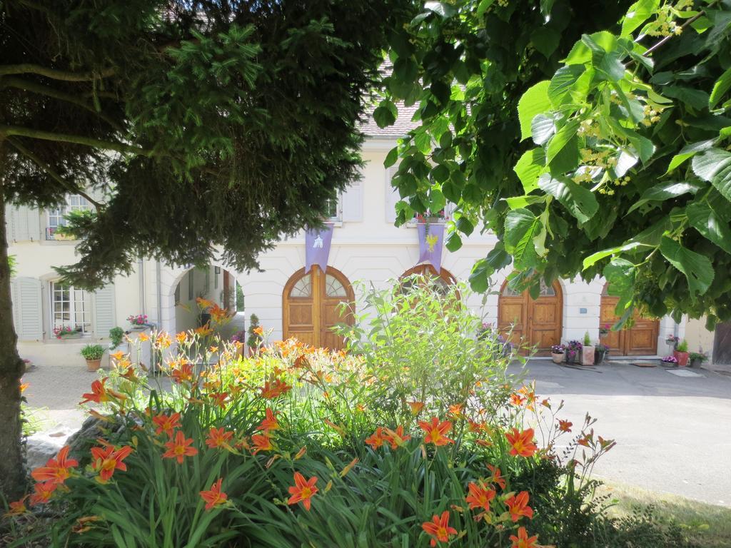 Ferrette La Maison Des Fontaines D'Alsace חדר תמונה