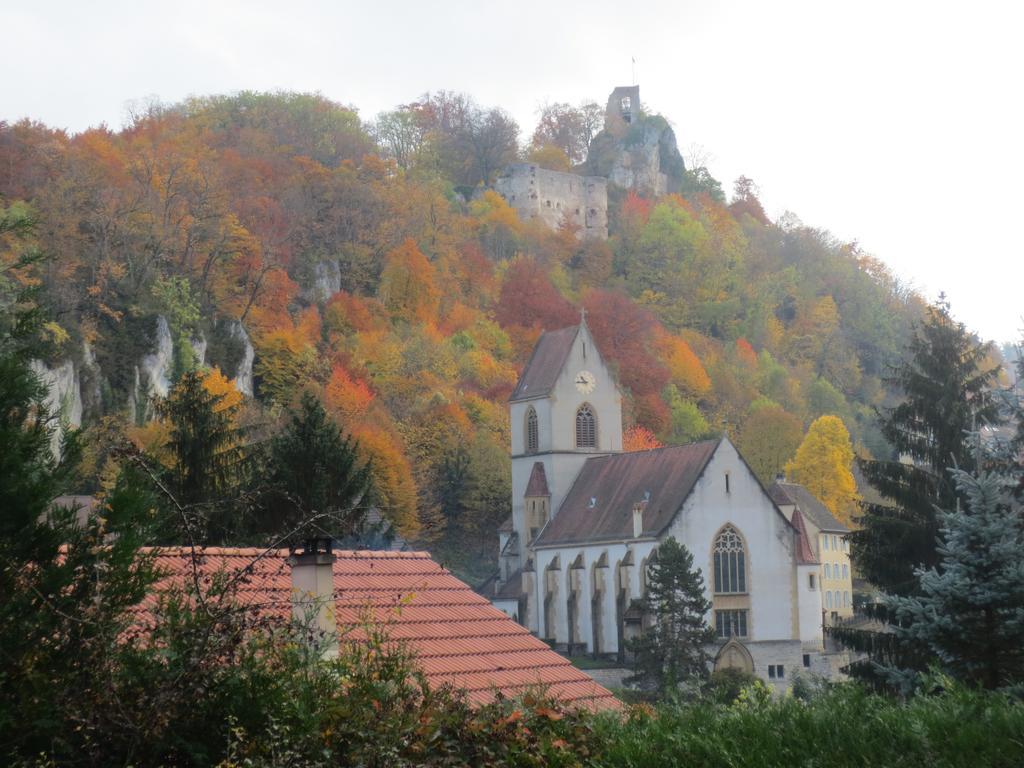 Ferrette La Maison Des Fontaines D'Alsace חדר תמונה