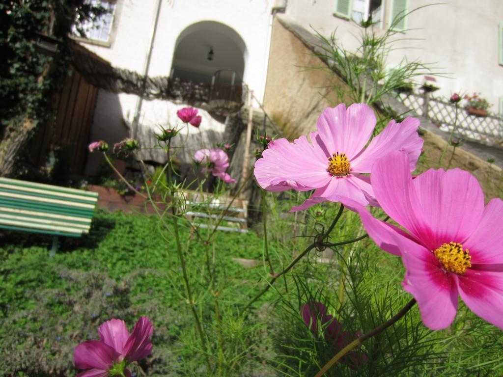 Ferrette La Maison Des Fontaines D'Alsace חדר תמונה