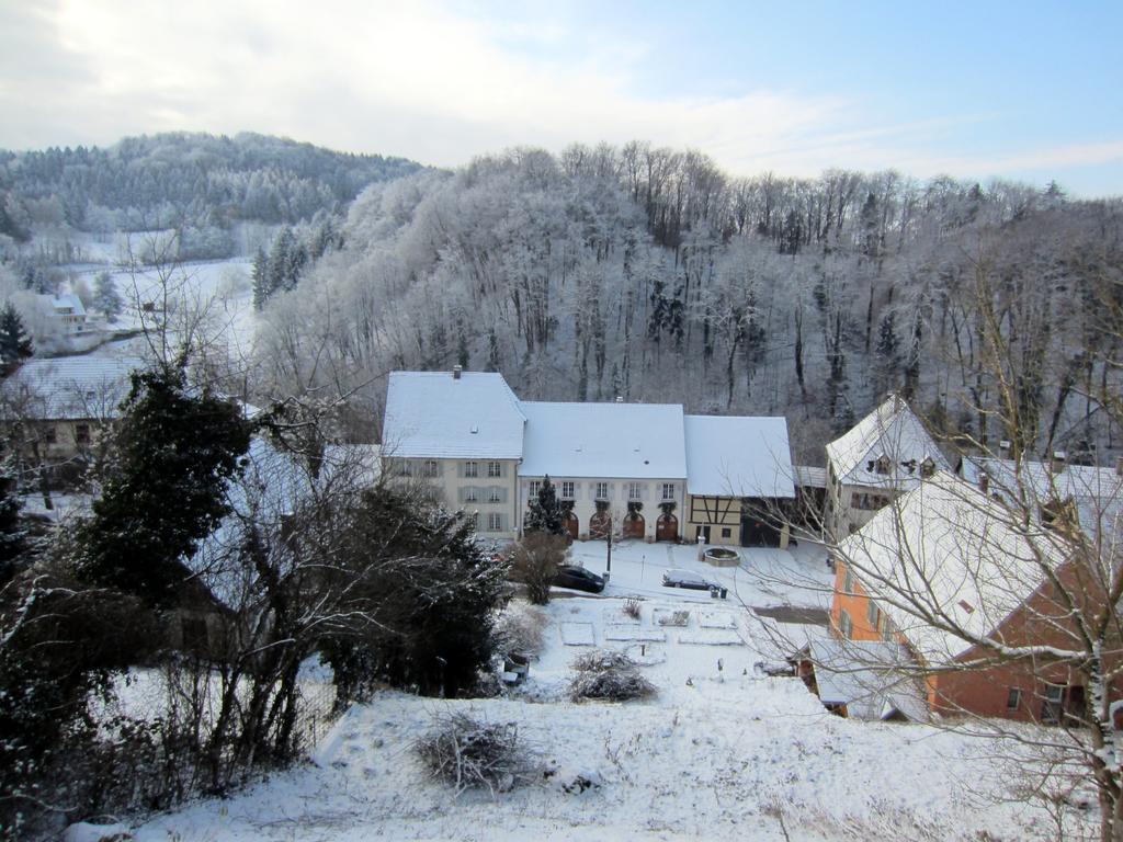 Ferrette La Maison Des Fontaines D'Alsace מראה חיצוני תמונה