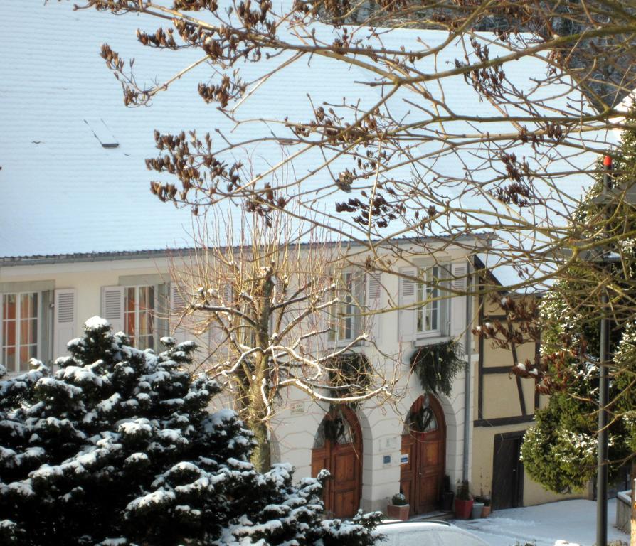 Ferrette La Maison Des Fontaines D'Alsace חדר תמונה