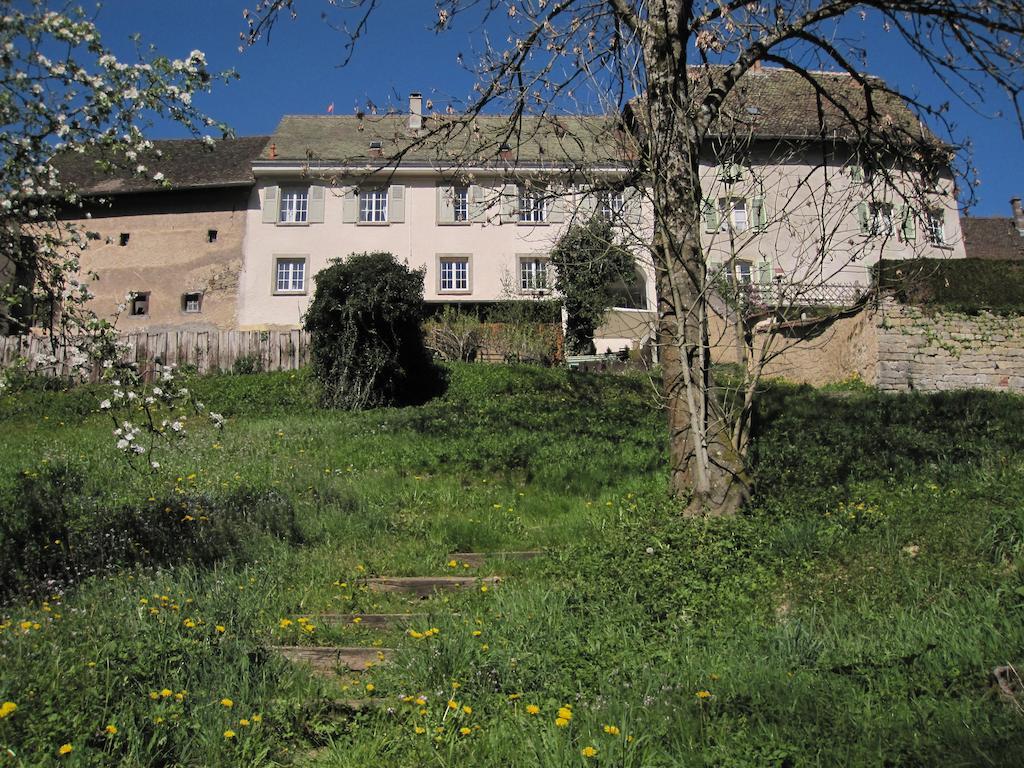 Ferrette La Maison Des Fontaines D'Alsace חדר תמונה