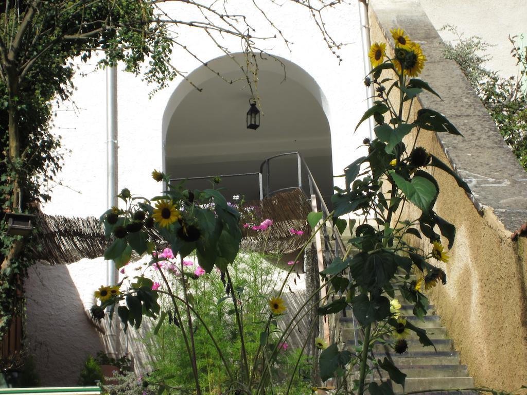 Ferrette La Maison Des Fontaines D'Alsace מראה חיצוני תמונה