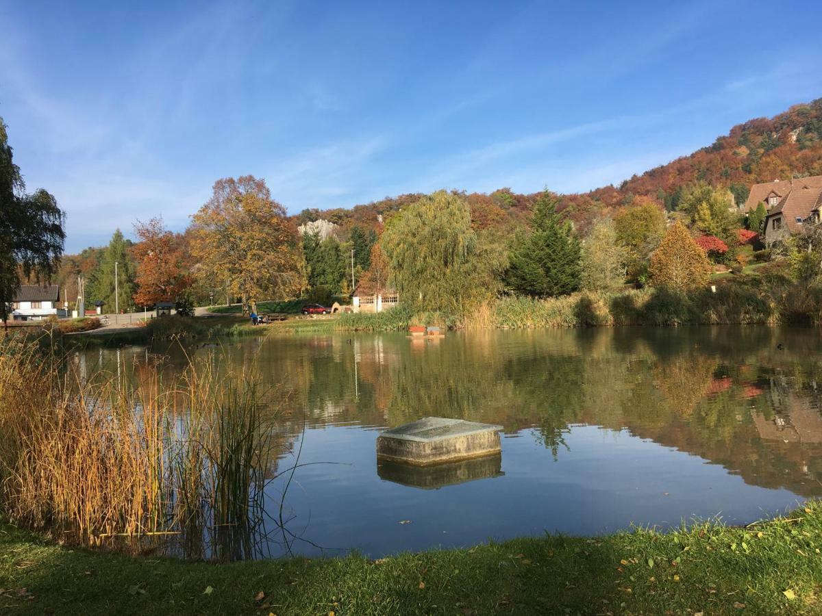 Ferrette La Maison Des Fontaines D'Alsace מראה חיצוני תמונה